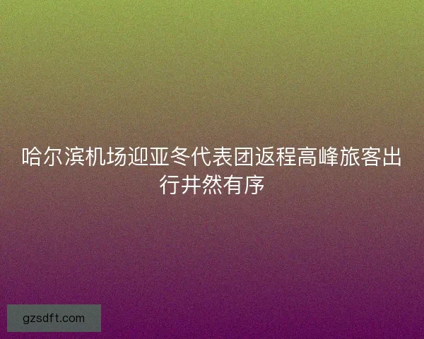 哈尔滨机场迎亚冬代表团返程高峰旅客出行井然有序