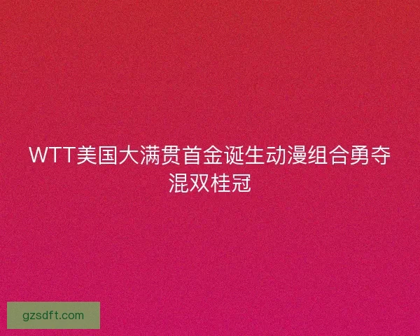WTT美国大满贯首金诞生动漫组合勇夺混双桂冠