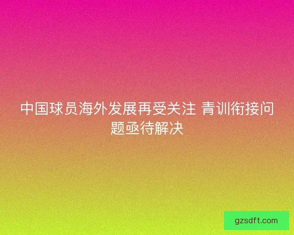 中国球员海外发展再受关注 青训衔接问题亟待解决