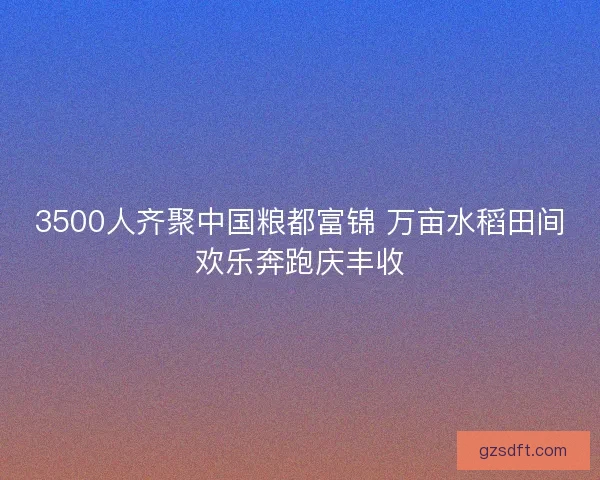3500人齐聚中国粮都富锦 万亩水稻田间欢乐奔跑庆丰收