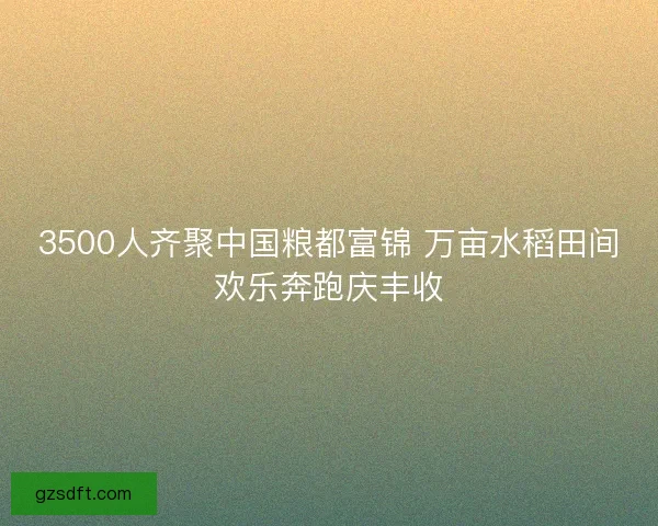 3500人齐聚中国粮都富锦 万亩水稻田间欢乐奔跑庆丰收