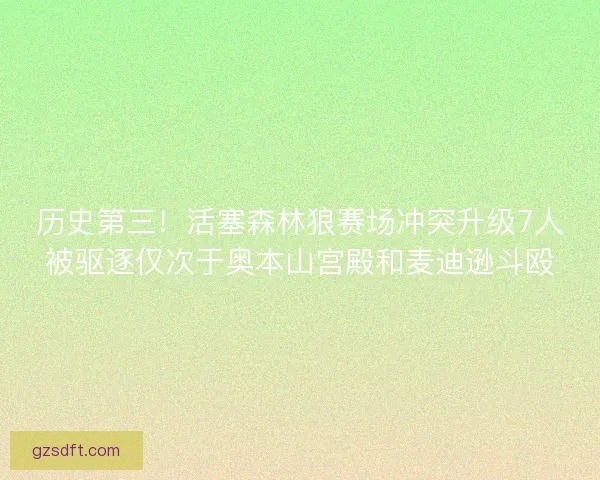 历史第三!活塞森林狼赛场冲突升级7人被驱逐仅次于奥本山宫殿和麦迪逊斗殴 历史第三!活塞森林狼赛场冲突升级7人被驱逐仅次于奥本山宫殿和麦迪逊斗殴